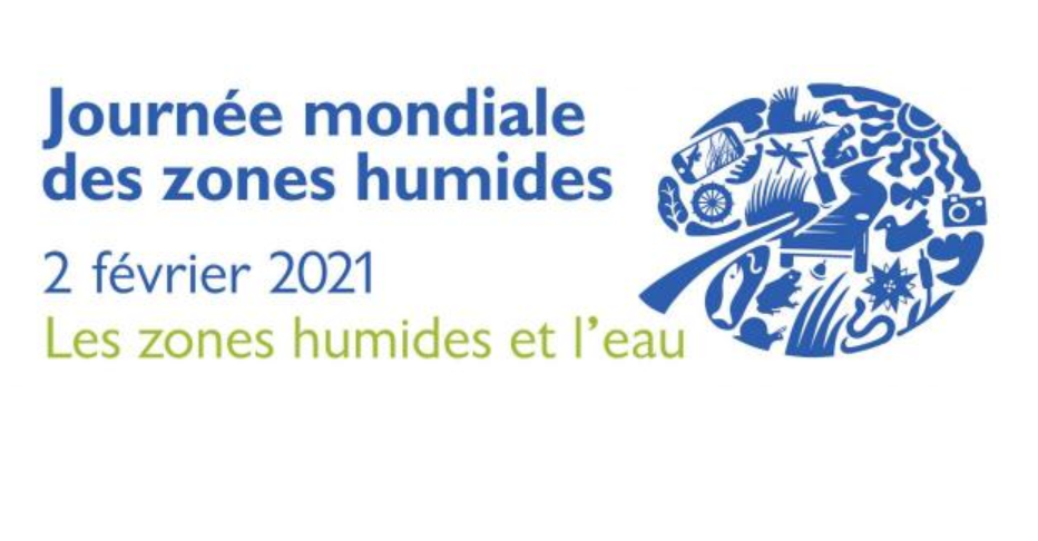 Cap sur les zones humides à l’occasion de la JMZH 2021 observer la faune et la flore de ces lieux uniques